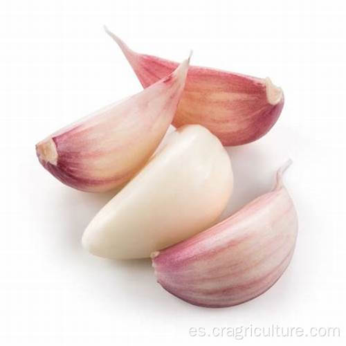 Garlic Farm Top Dientes de ajo frescos